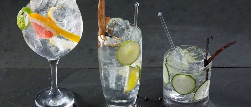 Gin tonic recept